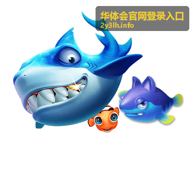 华体会官网登录入口官方通道展示图